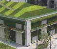 屋頂綠化/垂直綠化--綠建技術